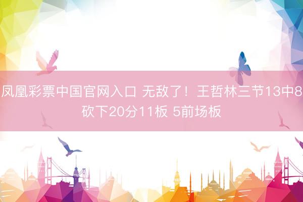 凤凰彩票中国官网入口 无敌了！王哲林三节13中8砍下20分11板 5前场板