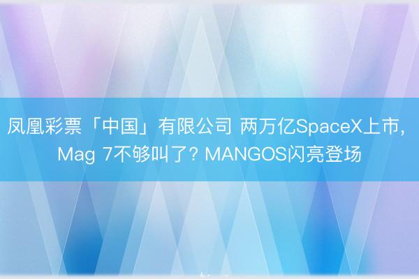 凤凰彩票「中国」有限公司 两万亿SpaceX上市， Mag 7不够叫了? MANGOS闪亮登场