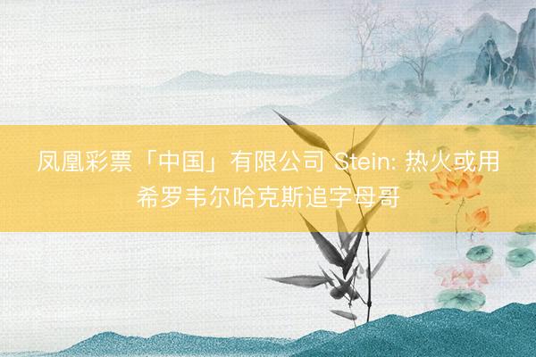 凤凰彩票「中国」有限公司 Stein: 热火或用希罗韦尔哈克斯追字母哥