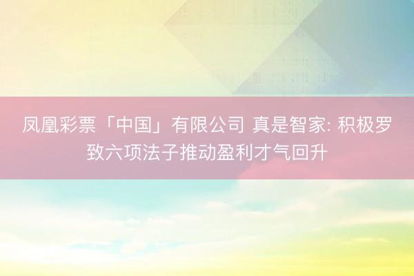 凤凰彩票「中国」有限公司 真是智家: 积极罗致六项法子推动盈利才气回升