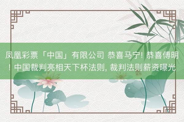 凤凰彩票「中国」有限公司 恭喜马宁! 恭喜傅明! 中国裁判亮相天下杯法则， 裁判法则薪资曝光