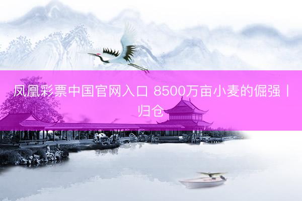 凤凰彩票中国官网入口 8500万亩小麦的倔强丨归仓