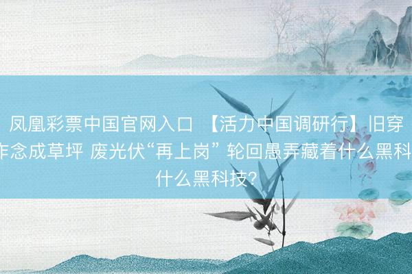 凤凰彩票中国官网入口 【活力中国调研行】旧穿着作念成草坪 废光伏“再上岗” 轮回愚弄藏着什么黑科技?